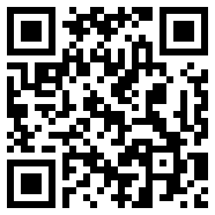 扫码下载航空公司指挥官
