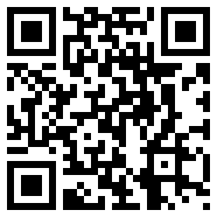 扫码下载皇家汽车碰撞