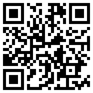 扫码下载极速赛道汉化版