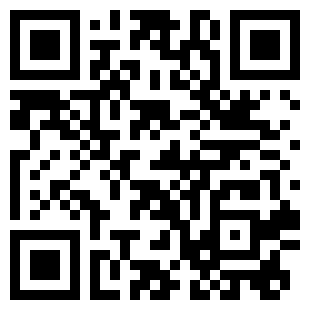 扫码下载元汽手机壁纸