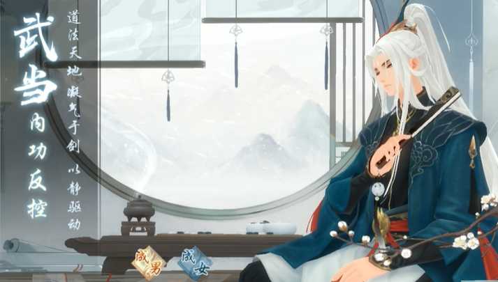 新笑傲江湖武当后期修哪个流派