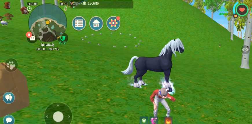 创造与魔法黑马怎么捕捉