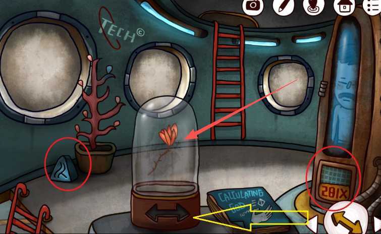 迷失岛2曼陀罗花怎么使用