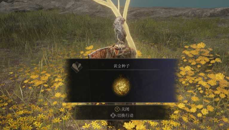 艾尔登法环全收集有哪些