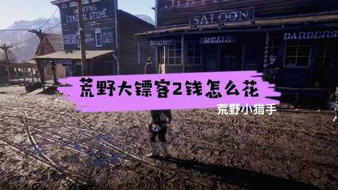 荒野大镖客如何花钱