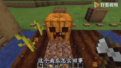 我的世界怎么种南瓜