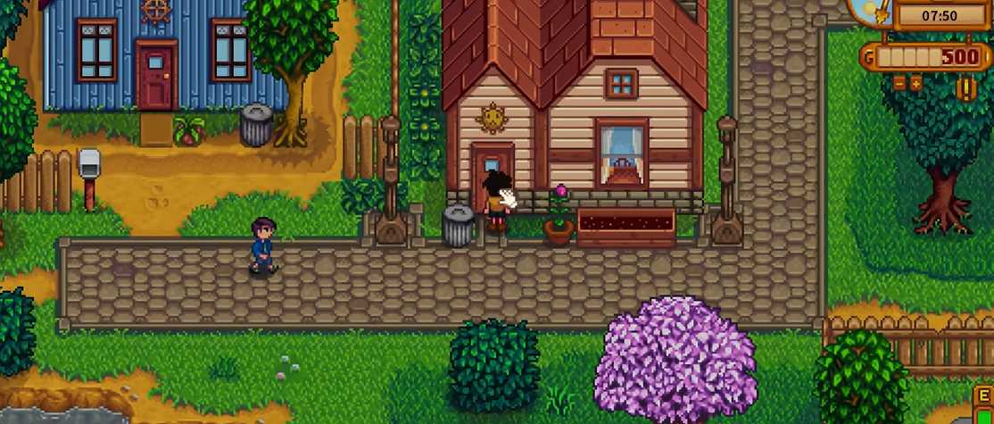 星露谷物语怎么和海莉结婚