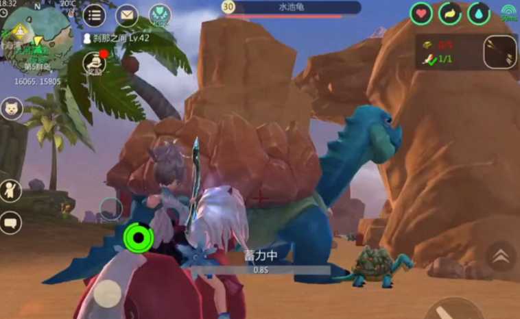 创造与魔法水池龟位置在哪里