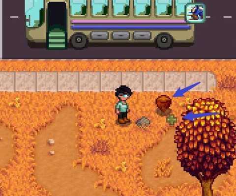 星露谷物语榛子怎么找