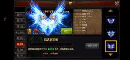 全民奇迹翅膀羽毛怎么选