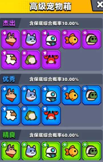 弹壳特攻队宠物在哪里装备好