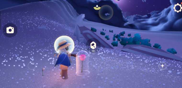 光遇地上放的玫瑰花有什么用