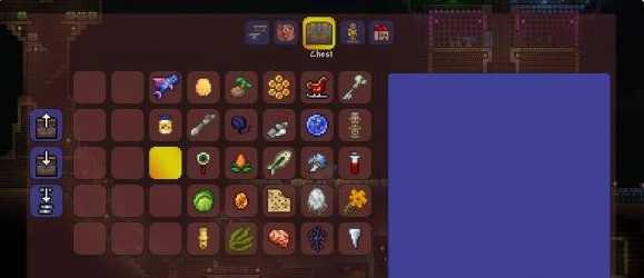 泰拉瑞亚宠物哪个好看