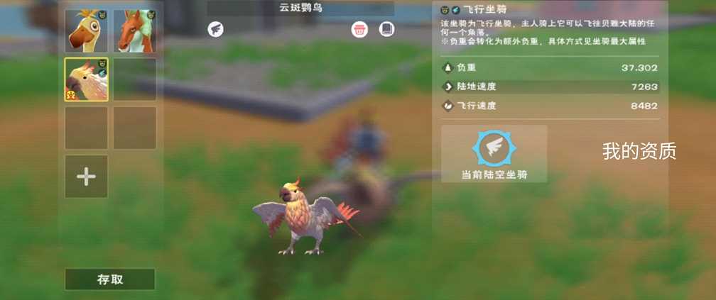 创造与魔法的​云斑鹦鸟在哪里找