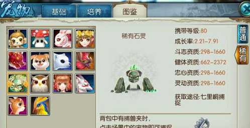 诛仙手游宠物稀有石灵怎样加点