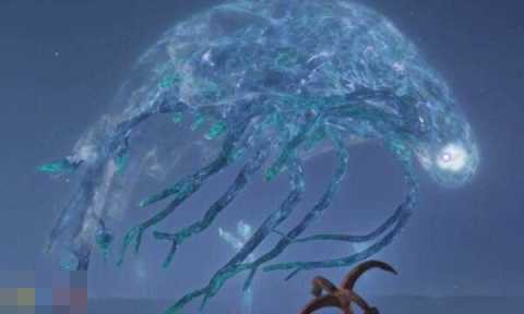 艾尔登法环黑夜降临玛利斯怎么打 黑夜王征兆战斗攻略