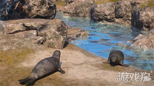 颂钟长鸣大型更新概览：全新生物登陆哈尔玛尔群岛