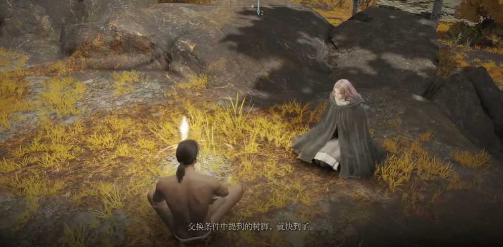 艾尔登法环梅琳娜在哪