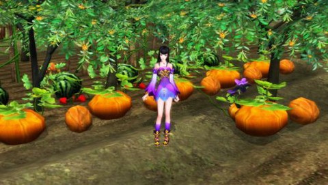 倩女幽魂苗圃能种什么