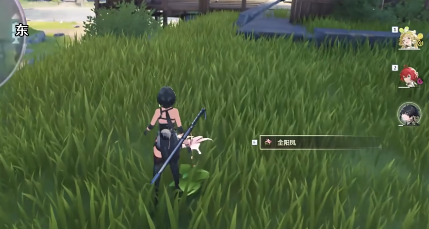 鸣潮金阳凤在哪里