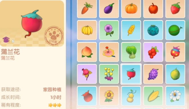 摩尔庄园怎么得到普兰花