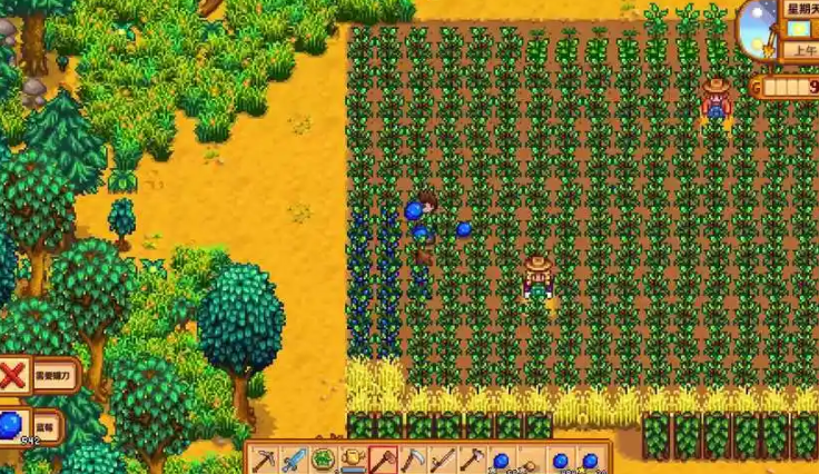 星露谷物语夏季怎么赚钱