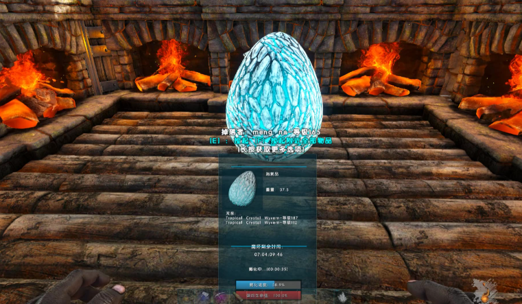 方舟生存进化怎么孵化龙蛋