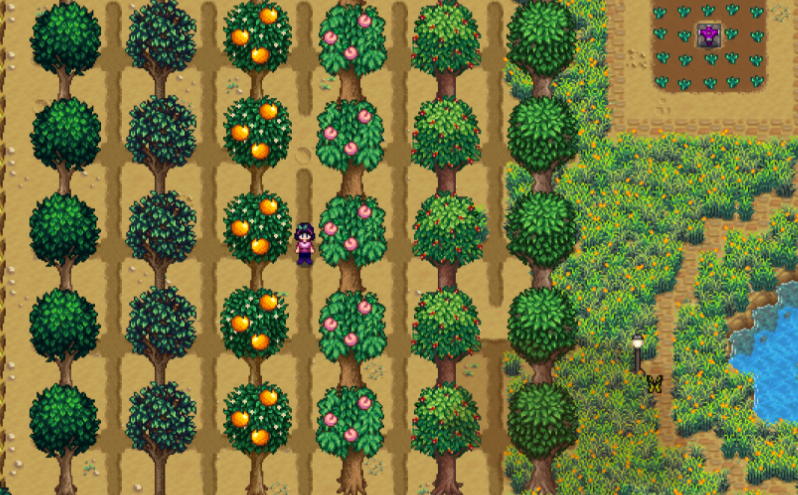 星露谷物语夏天种什么树