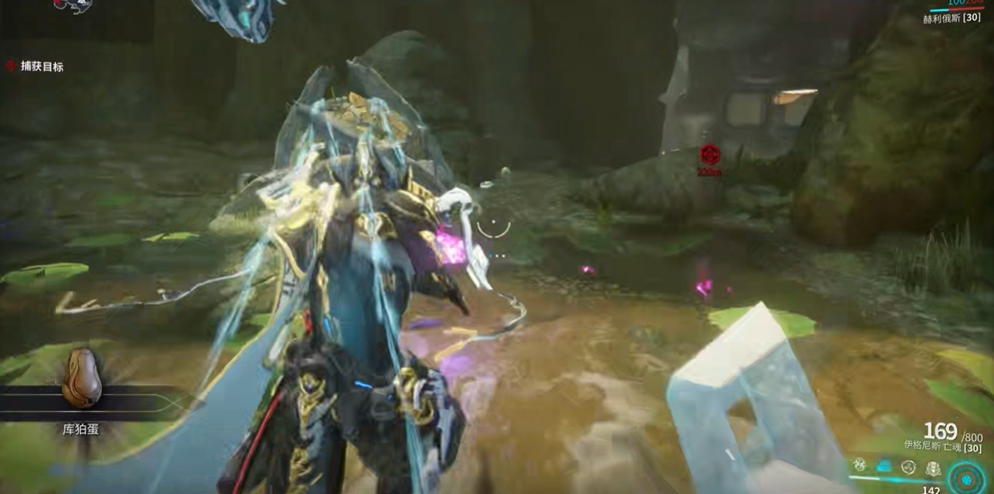 星际战甲如何与宠物互动