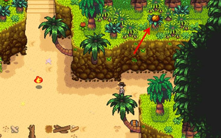 星露谷物语姜岛断桥怎么过去