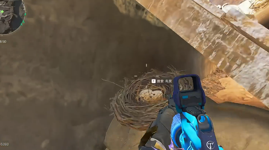 三角洲行动井盖鸟窝有什么